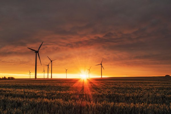 Empowering Wind Energy: How UK Renewable Firms Leverage AI to Maximize Production Efficiency